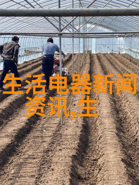 国美系 ST 美讯深陷危机财务造假与市值退市风险双重夹击